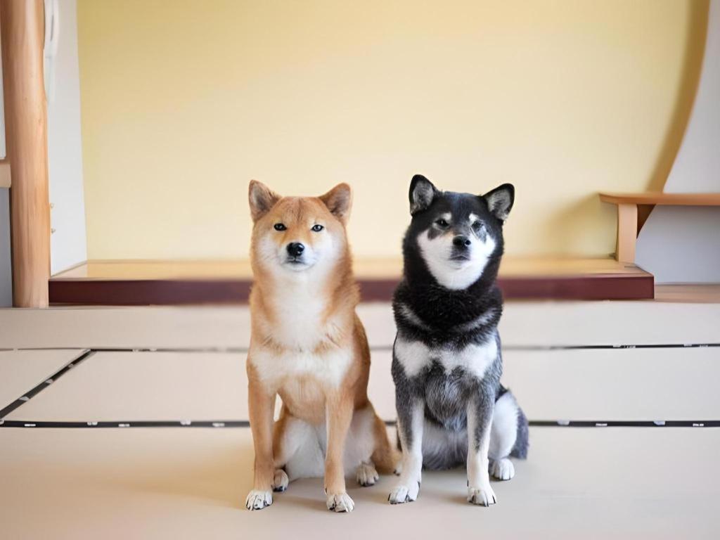 Izumigo Lake Hamanako Dog Paradise Hotel Хамамацу Екстер'єр фото